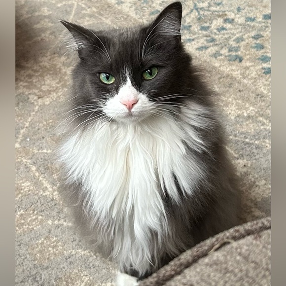 Jewelry - Preview placeholder Mar 21st